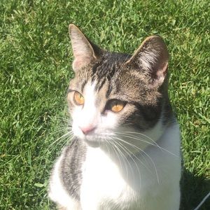 Meet your Posher, Maximilian